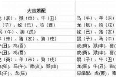 1997年1月生肖|97年属什么 97年属什么命